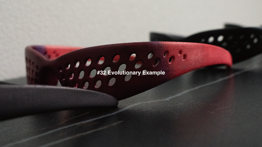#32 Evolutionary Example