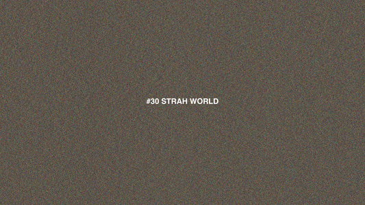 #30 STRAH WORLD